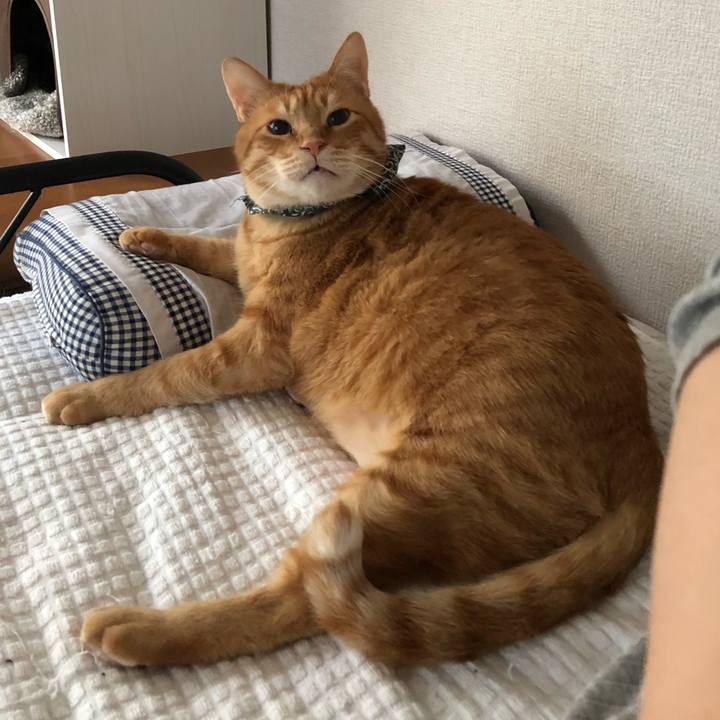 Eb15e073 eecb 458c a4dd db05f3ac4b27 1584566546810