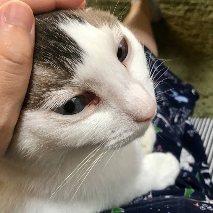 Eb15e506 f67e 4d1f a471 4028230e6586 1597710439229