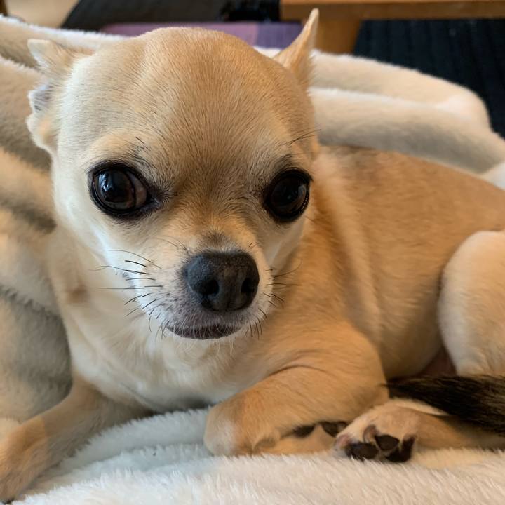 Eb15f396 b476 41e0 82ed bc39f14b5d9e 1618561744260