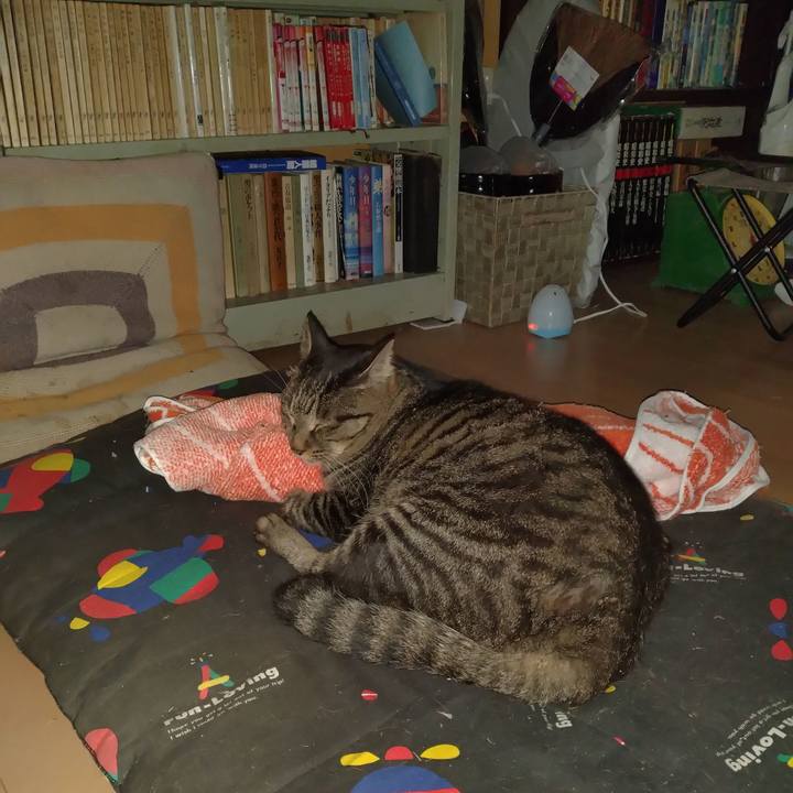 Eb1617bd f835 4065 bda0 cfa8c0f99919 1663755965341