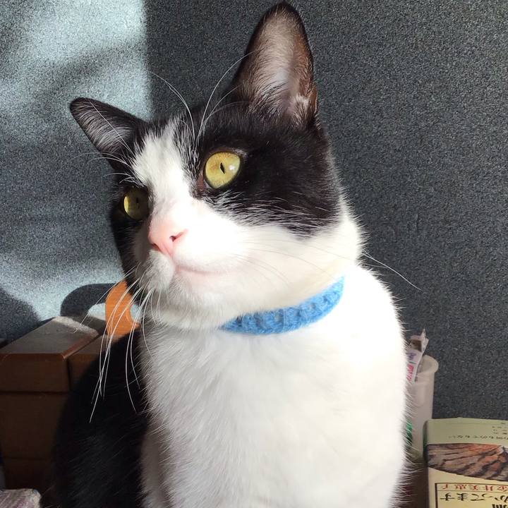 Eb1633b7 7d0c 4162 9216 8ab9a783de01 1735341960357