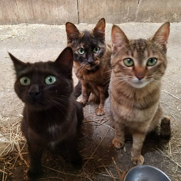 Eb164087 6aa9 47bc 9267 652f15bbe3f9 1508729690902