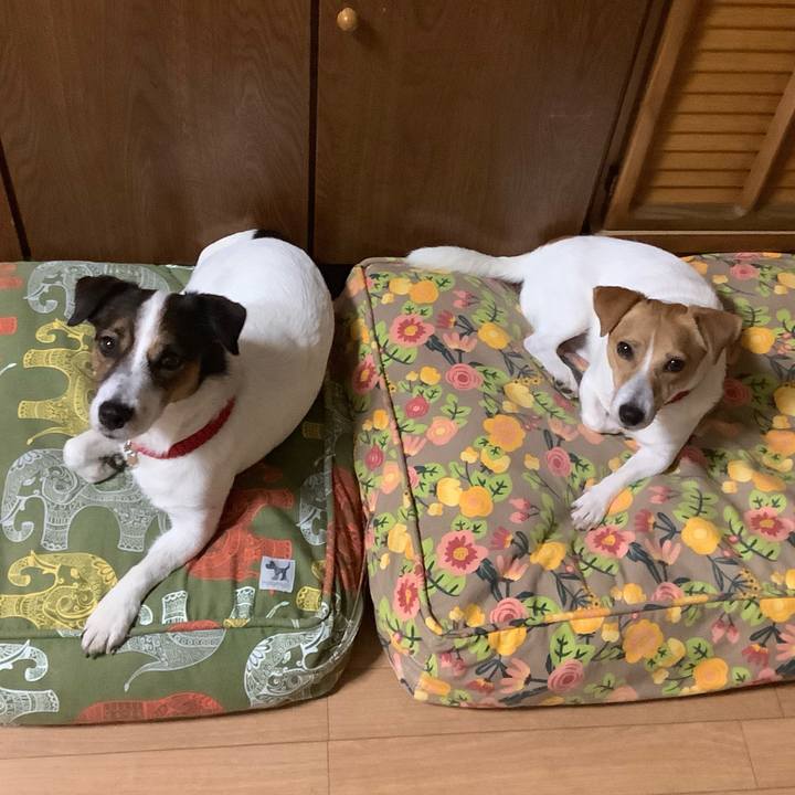 Eb164b4c e132 409c ba5d c3dbb01ed59a 1564950833859