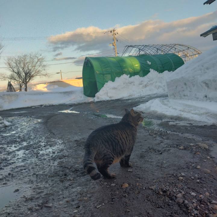 Eb16505a c440 4c8a b80d 1f2448a46b64 1676536138055