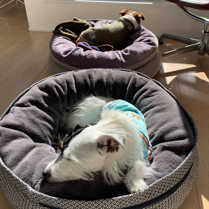 Eb16824d 627a 4b99 8825 152ed4e692b4 1641526066636