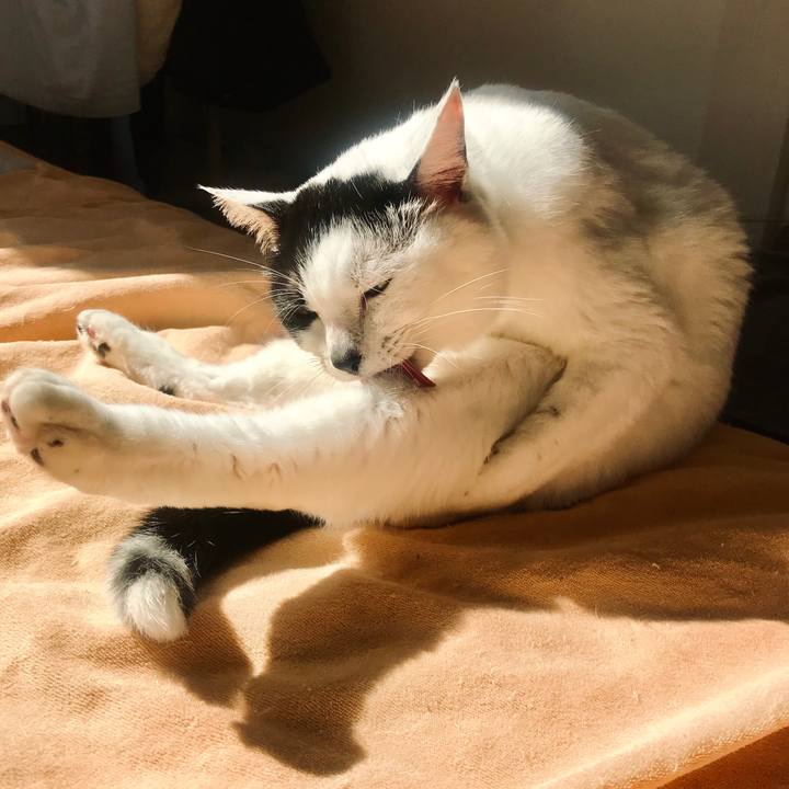 Eb168c46 1e44 434f a773 82119abfcef6 1732118964498