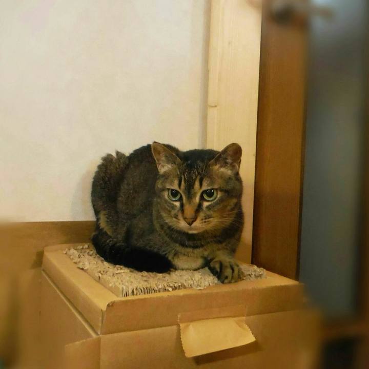 Eb16b4c9 d8a7 4c71 9344 fbe5d9c92208 1570491379642