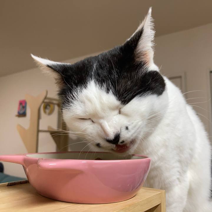 Eb16b709 3ed5 4825 acf8 43e5432f020c 1769204024060