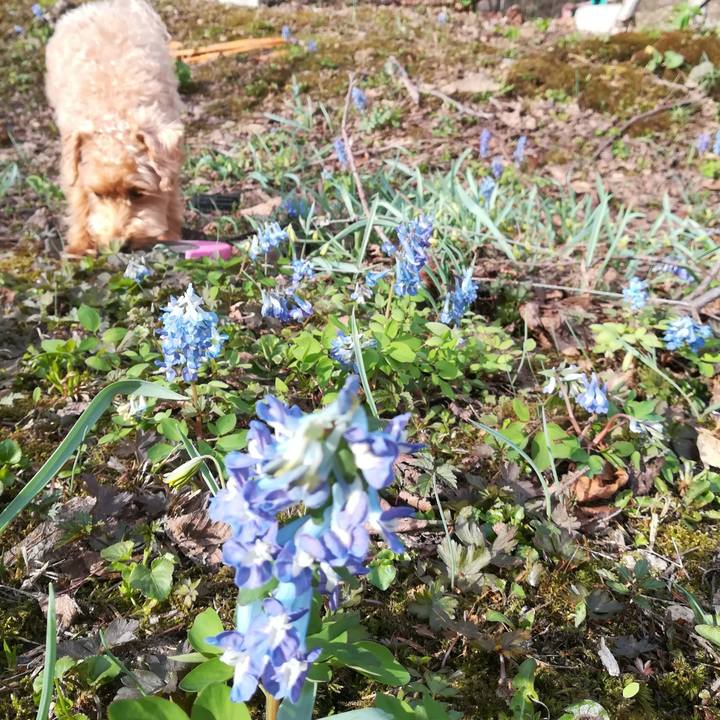 Eb16cbb9 61c6 4cc1 afc5 c32267605af1 1555973114685