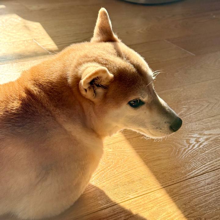 Eb16e0bc abf5 48a4 a815 4c87c92bf217 1765860613939