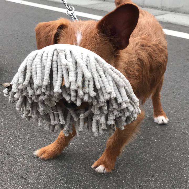 Eb171167 4f68 46f4 84cd 208375603631 1553159529509