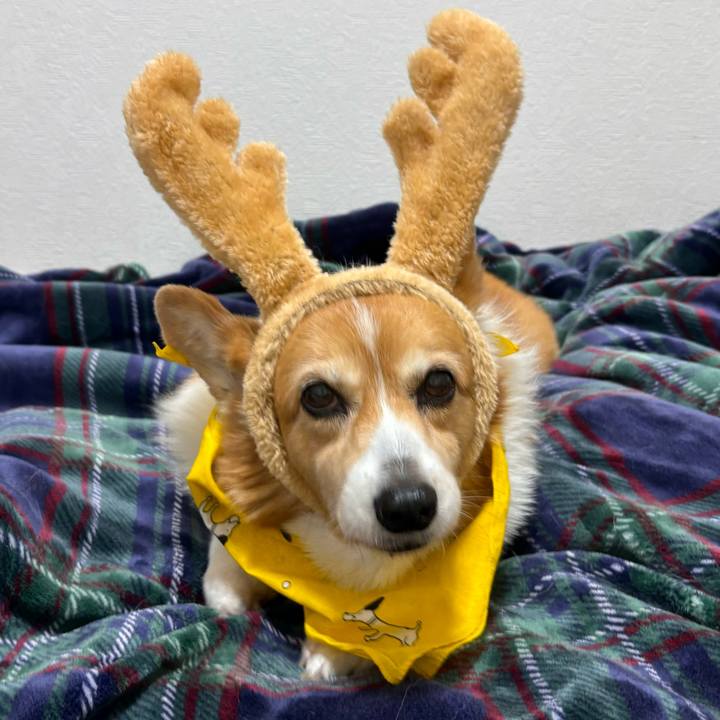 Eb1754df 702c 468b 9997 6e2b9def72d3 1766569326224