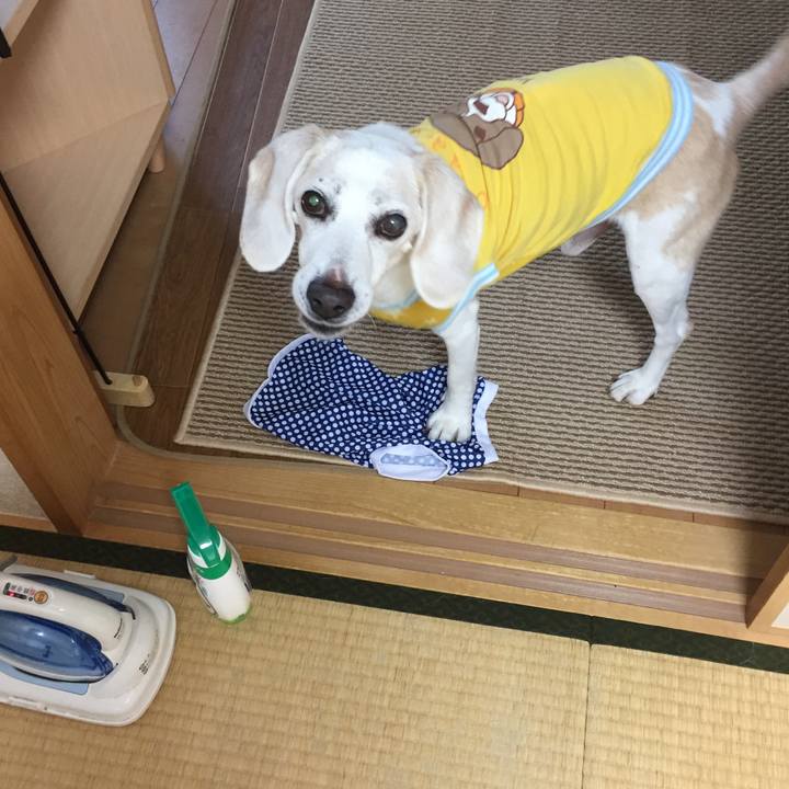 Eb175ef0 f776 455c a257 4d6d97ba35df 1596463325112