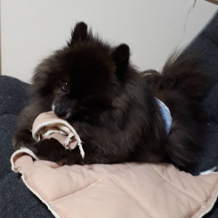 Eb1786e4 8fae 4c04 9548 c86e189015de 1521924804381