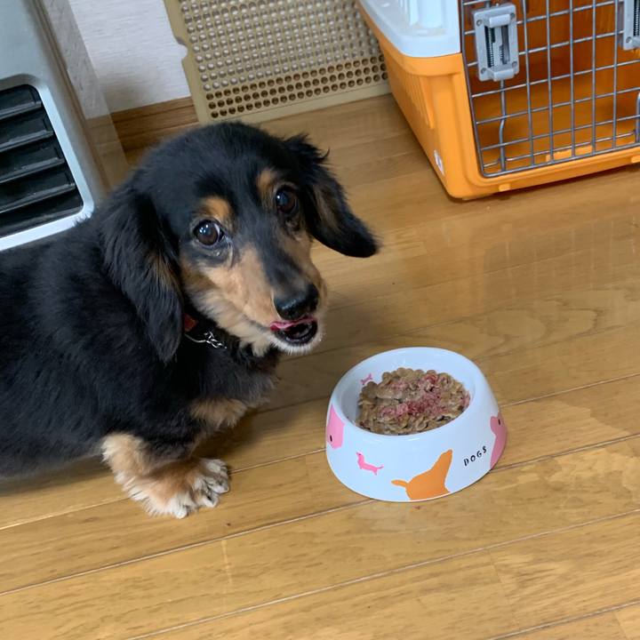 Eb17a46f dbc5 474f 947d b52618187b47 1556057215464