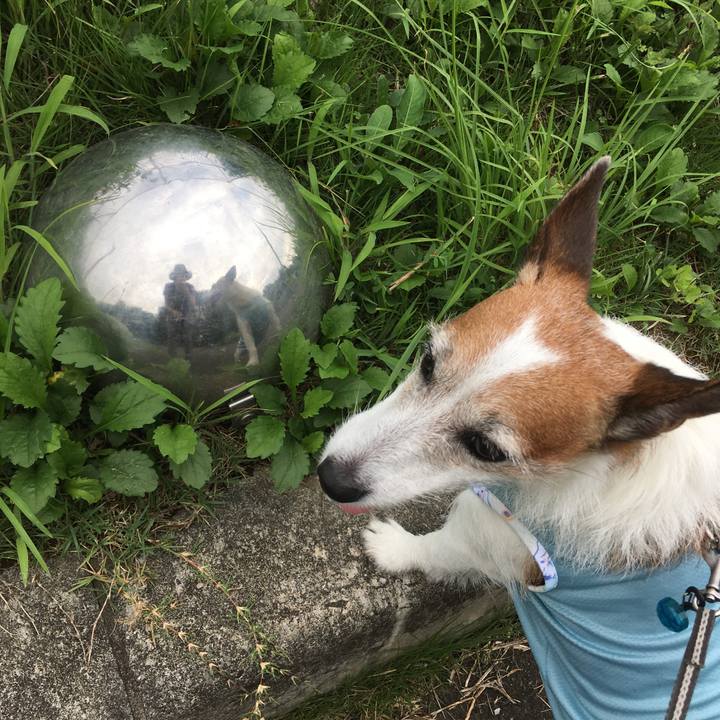 Eb17a79c 62dc 48e7 bc66 8fcdfc483863 1661124512200