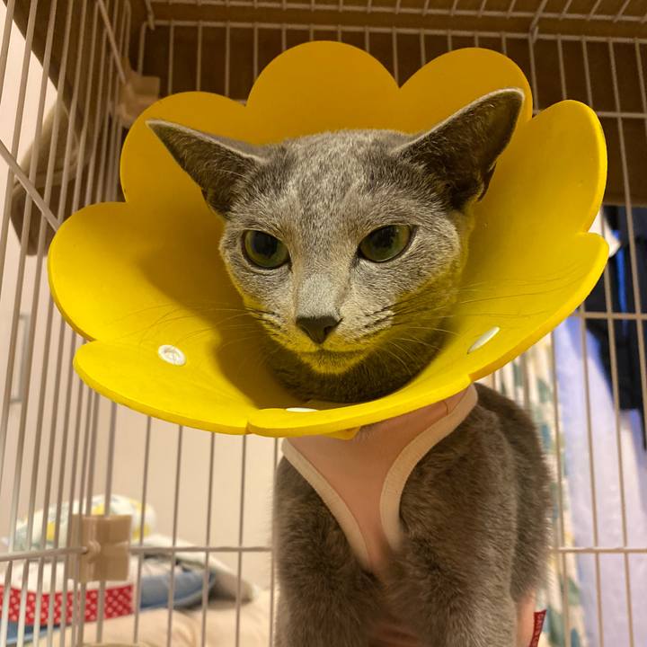 Eb17edf6 4a1f 44b2 810d 6b662362e988 1630921864212