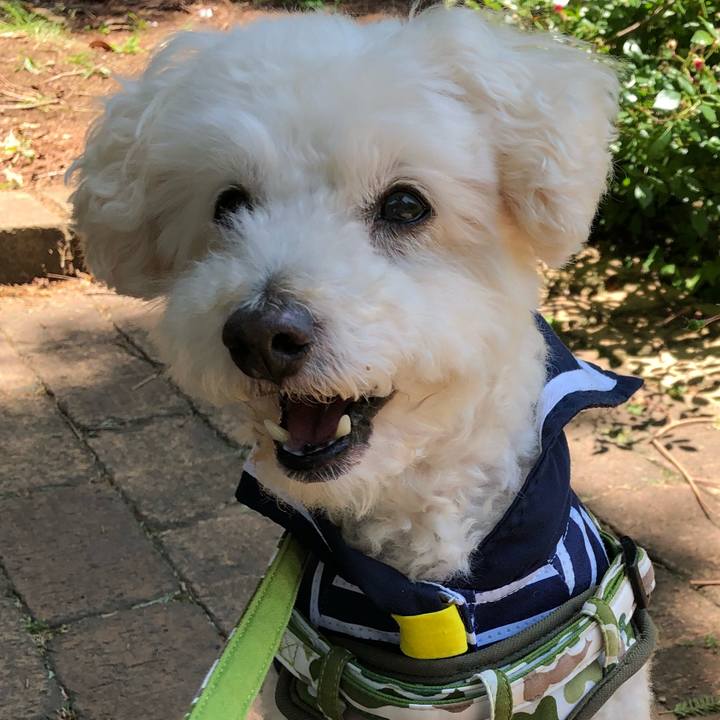 Eb17f426 238f 4768 833b 0905e4177a16 1526948072174