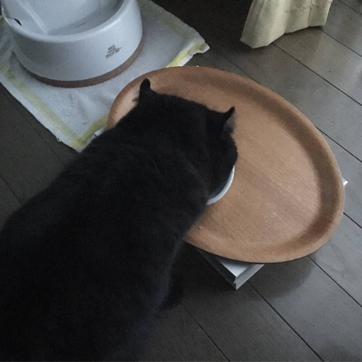 Eb182318 df1f 4d75 a318 7a4d691b592a 1510608452560