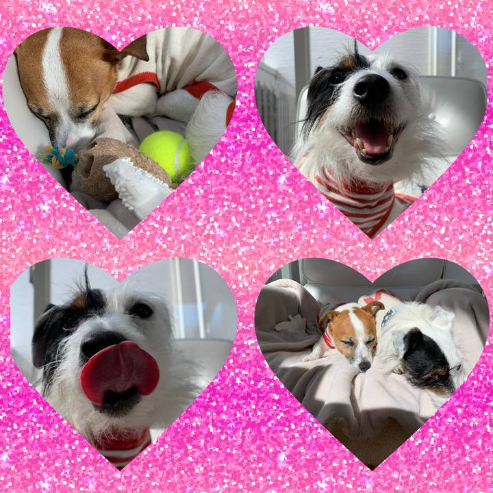 Eb183ac5 8dc7 4770 be35 bb4f2e095afd 1581995552066