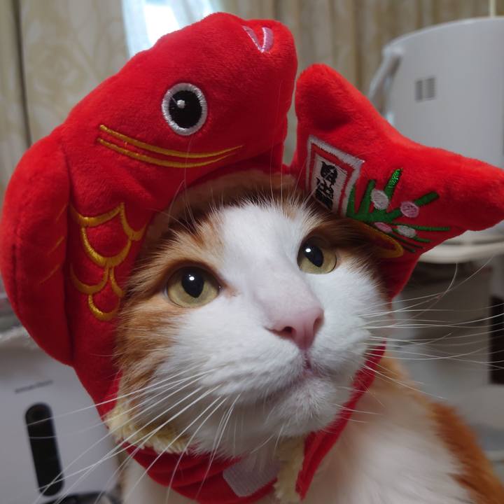 Eb1855a6 81d5 452c b68c 3e8959d813c8 1641192881701