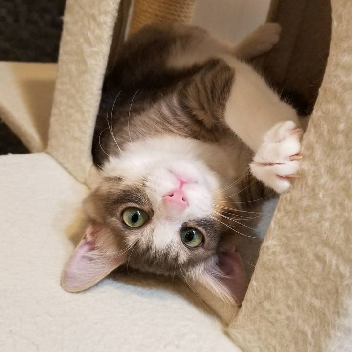 Eb186a44 584a 4f90 a107 15d2d073a0c8 1511186724692