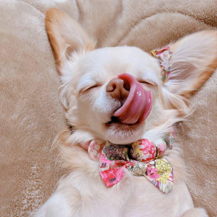 Eb187e85 9e10 4320 9bbc 1a25470eb745 1668763840981