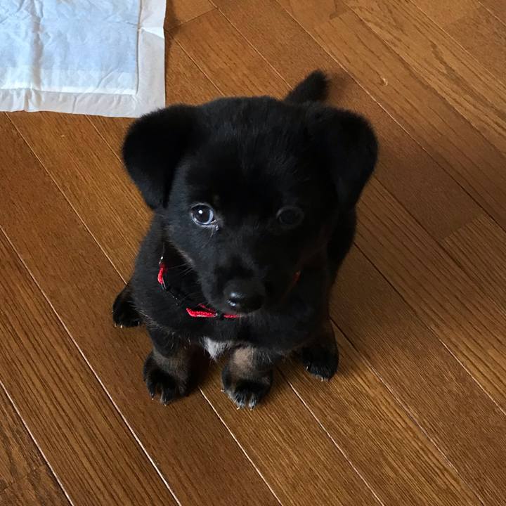 Eb18da39 22cf 4bc2 a720 1579ca8831fe 1567674190489