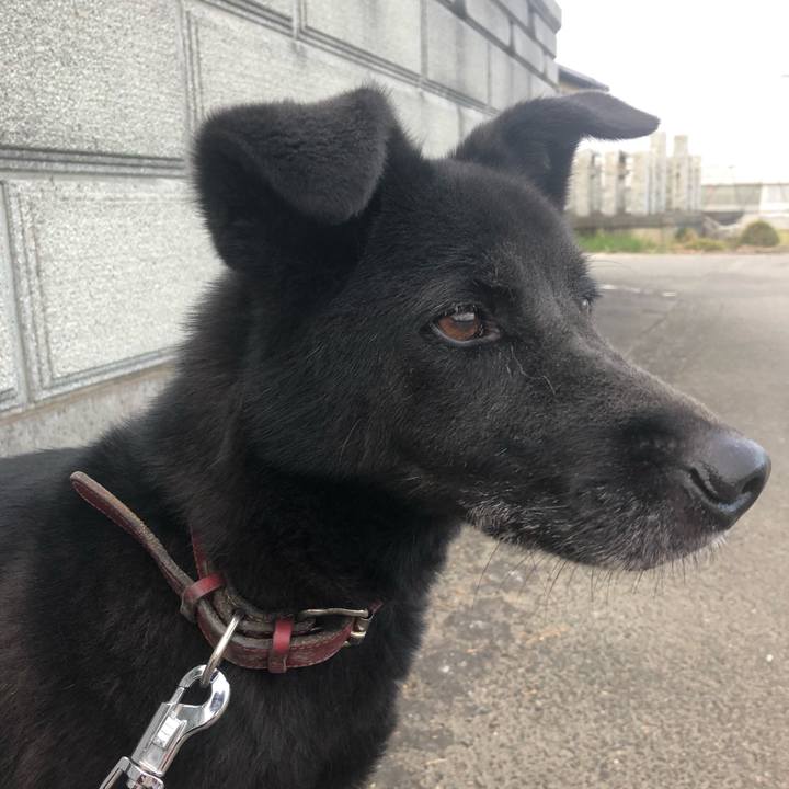 Eb18e3aa 641b 4e87 9b21 1c8b485a8317 1571555315648