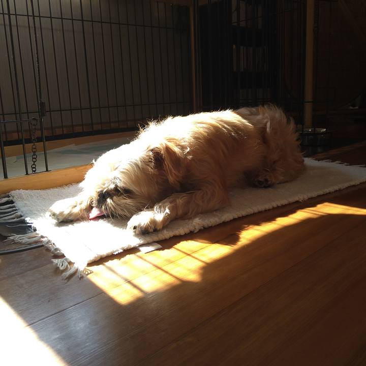 Eb191e5c 4d0a 46cf b74f 6f7c31044a8a 1604545934976