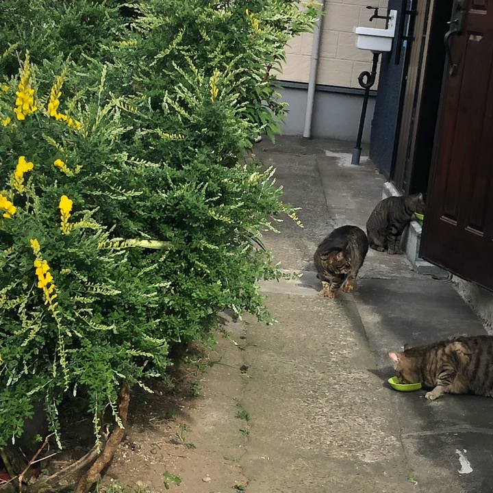 Eb192390 b22d 4c33 83ea 6a6741e55d2c 1555680026526