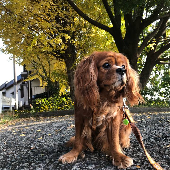 Eb1958ec 23fd 4ad4 a885 9f91371dce9d 1637453777676