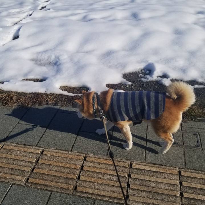 Eb197e35 fe3b 45e7 a864 91e653b69c86 1703572480713