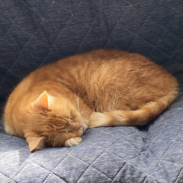 Eb199112 7761 47e3 97a0 0018f9e7dd4a 1584075106764