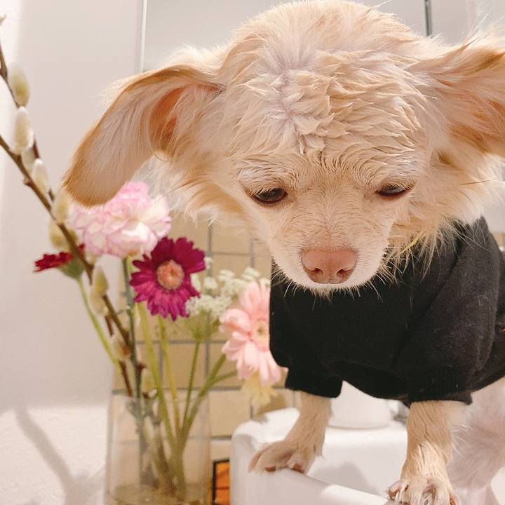 Eb19a882 4354 40e3 8f8f 2fff86c32321 1614581604031