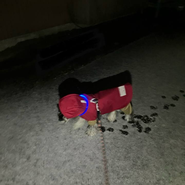 Eb19b643 ec0b 4a47 961b b2d81f52e312 1734964045687