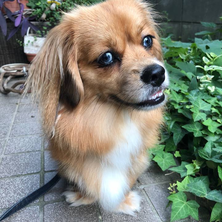 Eb19b90f 2e29 4fdb bc05 675ab88139f6 1531432196266