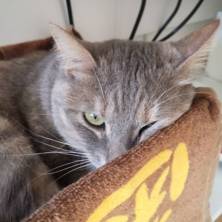 Eb19cbaa be08 46c7 94f8 b79a902a3bc8 1590136095190