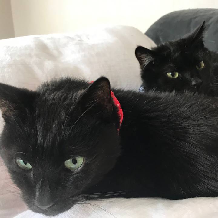 Eb19d876 e292 4292 9609 0942ca32428b 1561249995752