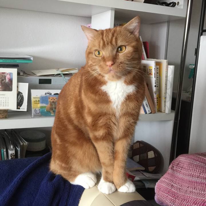 Eb1a1937 9016 40b4 bfd7 4d559264412e 1535853585060