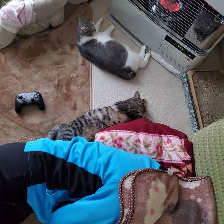 Eb1a2630 6a9b 4f58 a386 61afeda29afd 1709291910093