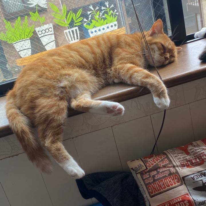 Eb1a444c 4158 498c b2ec c7f432da6f21 1588655798133