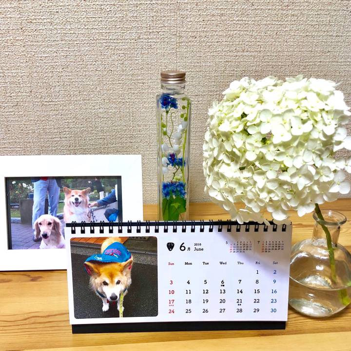 Eb1a5014 1bcd 4e3a 9ad1 82f4974e4f72 1528269063286