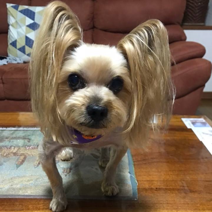 Eb1a64dd eb20 44e2 ba87 4a9bdca430f2 1730109733713