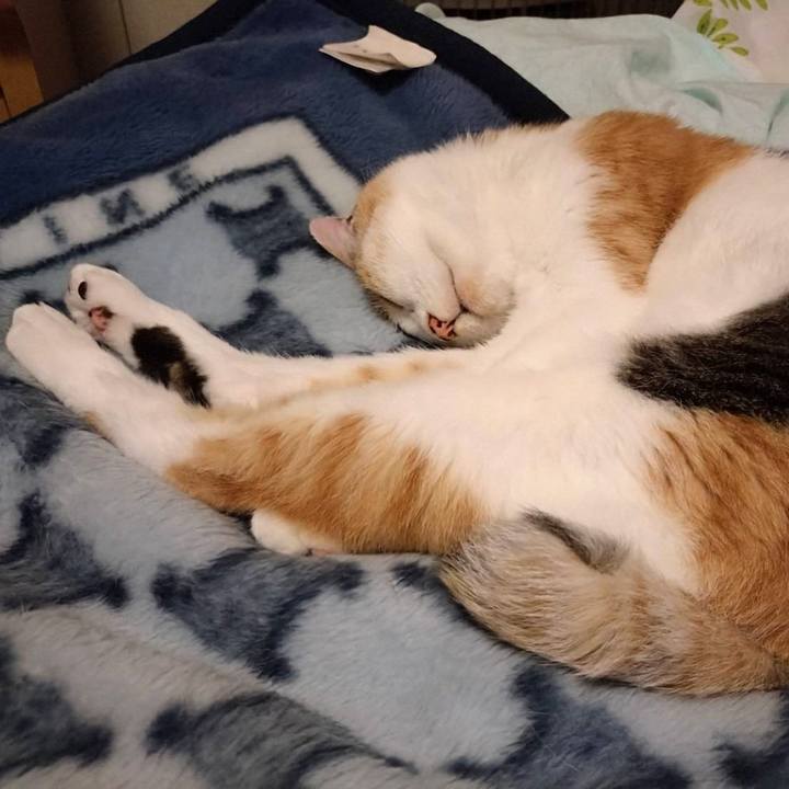 Eb1a8e01 0753 40c1 a91f 219022141c54 1721990932164