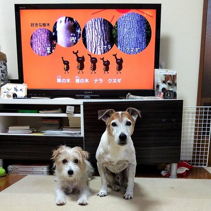 Eb1aa9de 9c49 47d6 a8b3 a2fcd17d43db 1567116519680