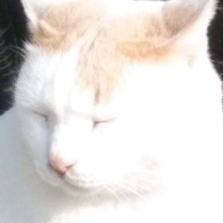 Eb1ad2bd ac3c 40f7 91f4 d658f136813f 1639127954645