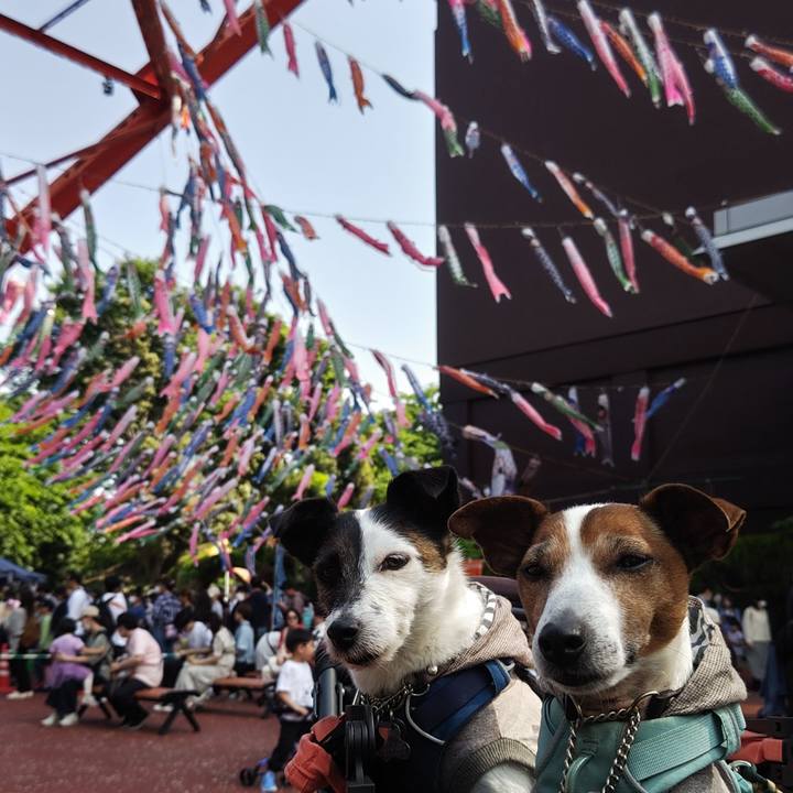 Eb1adb7e df2e 4343 b787 d920532848c6 1746338813608