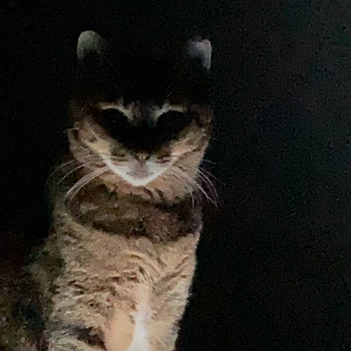 Eb1ae701 6c43 41bd ad23 22c58aa0953a 1615116572291