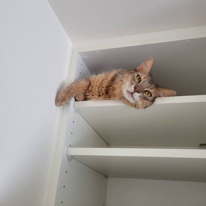 Eb1b0a8e 982a 4029 b0ff f001c7739af9 1632358734494